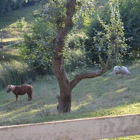 Hotel Casona Dos Lagos